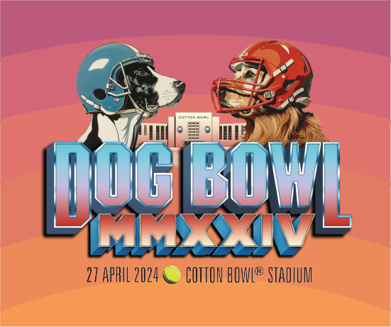 More Info for Dog Bowl 2024