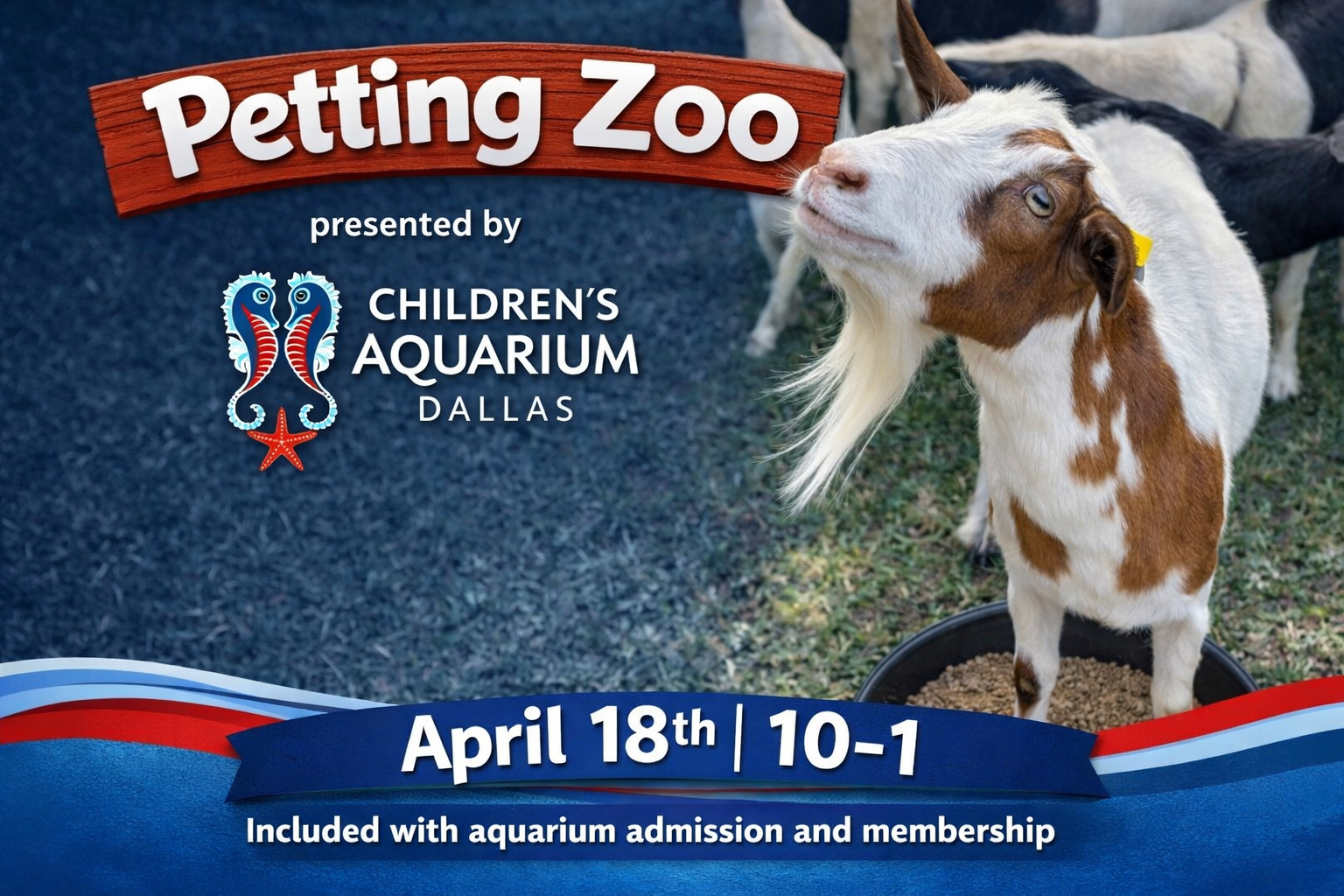 More Info for Petting Zoo at Children's Aquarium