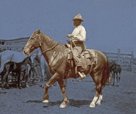More Info for Black Cowboys: An American Story