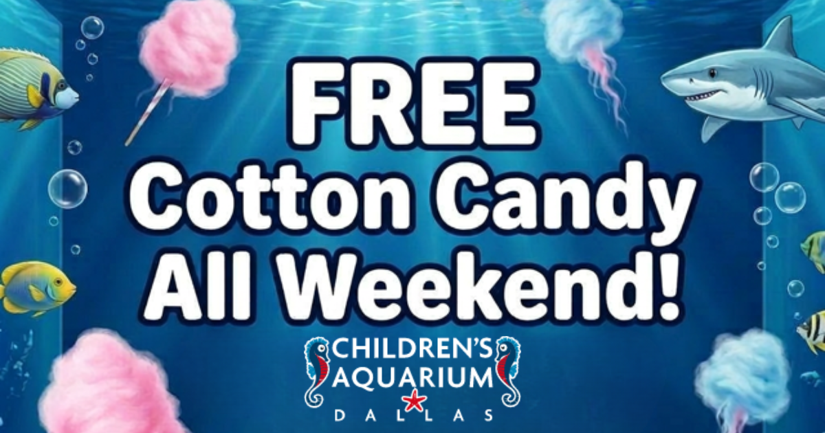 More Info for Cotton Candy Party
