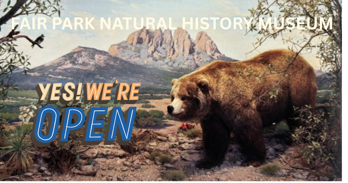 More Info for Natural History Museum Now Open