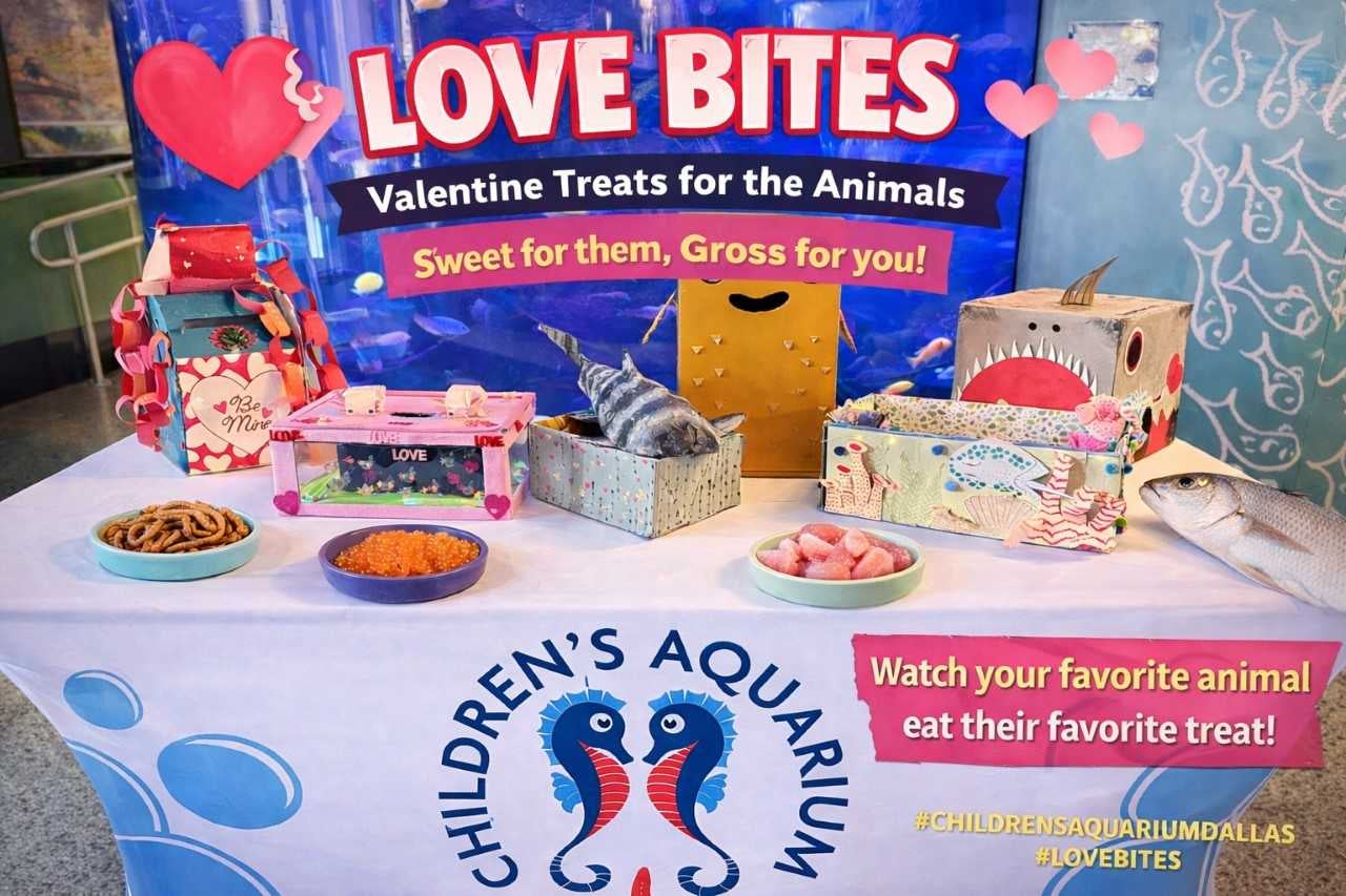 More Info for Love Bites- Valentine's Treats