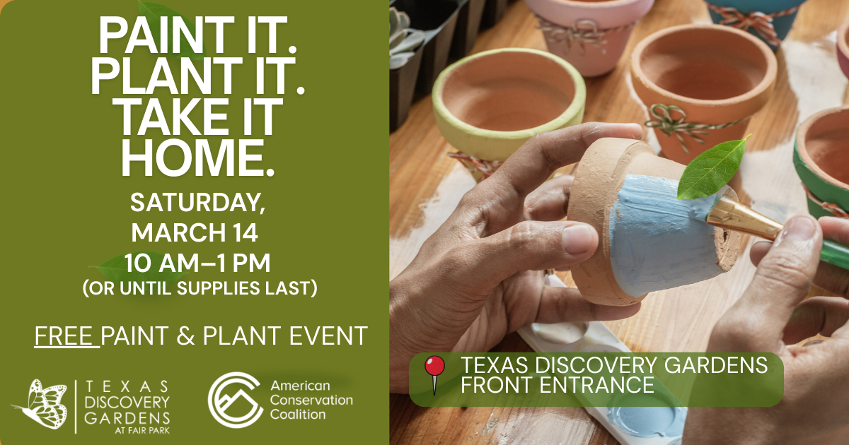 More Info for Paint & Plant