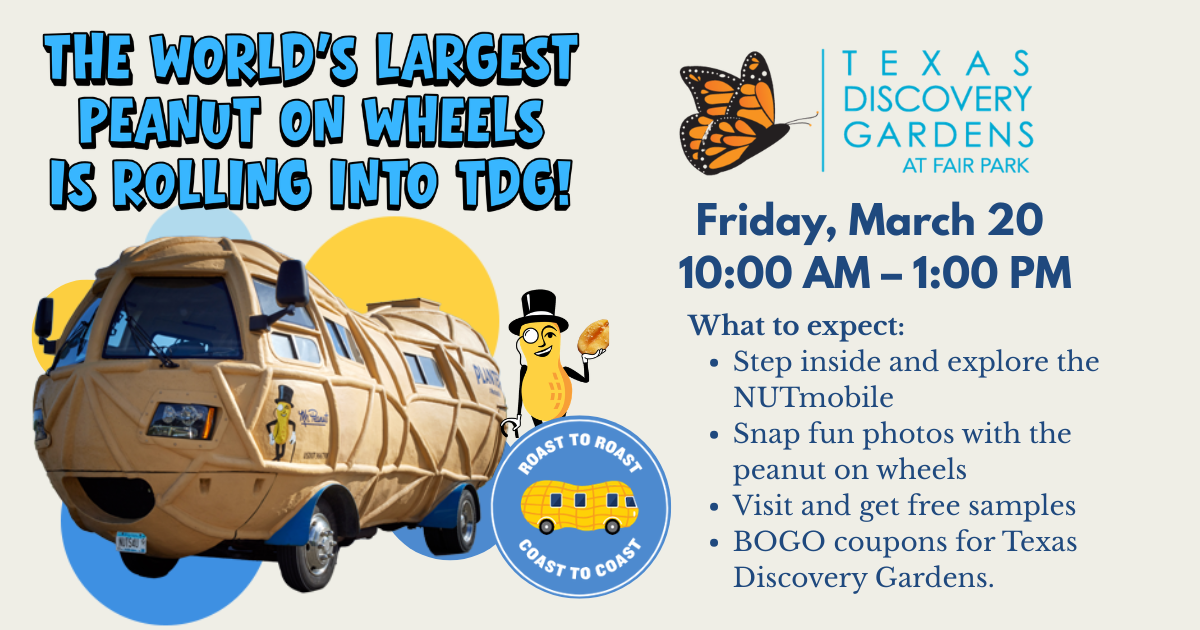 More Info for Peanut On Wheels 