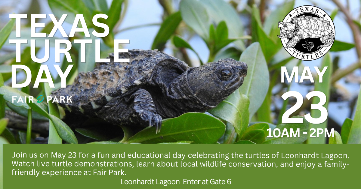 More Info for Texas Turtle Day
