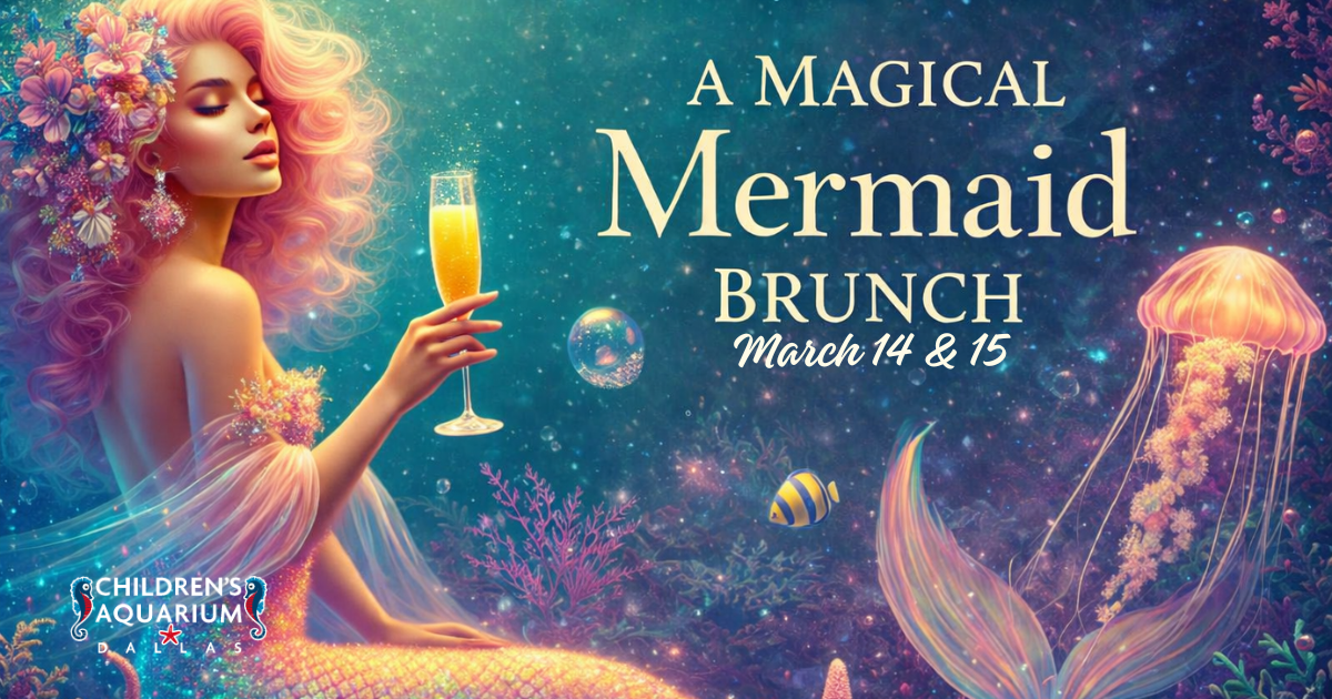 More Info for Mermaid Brunch