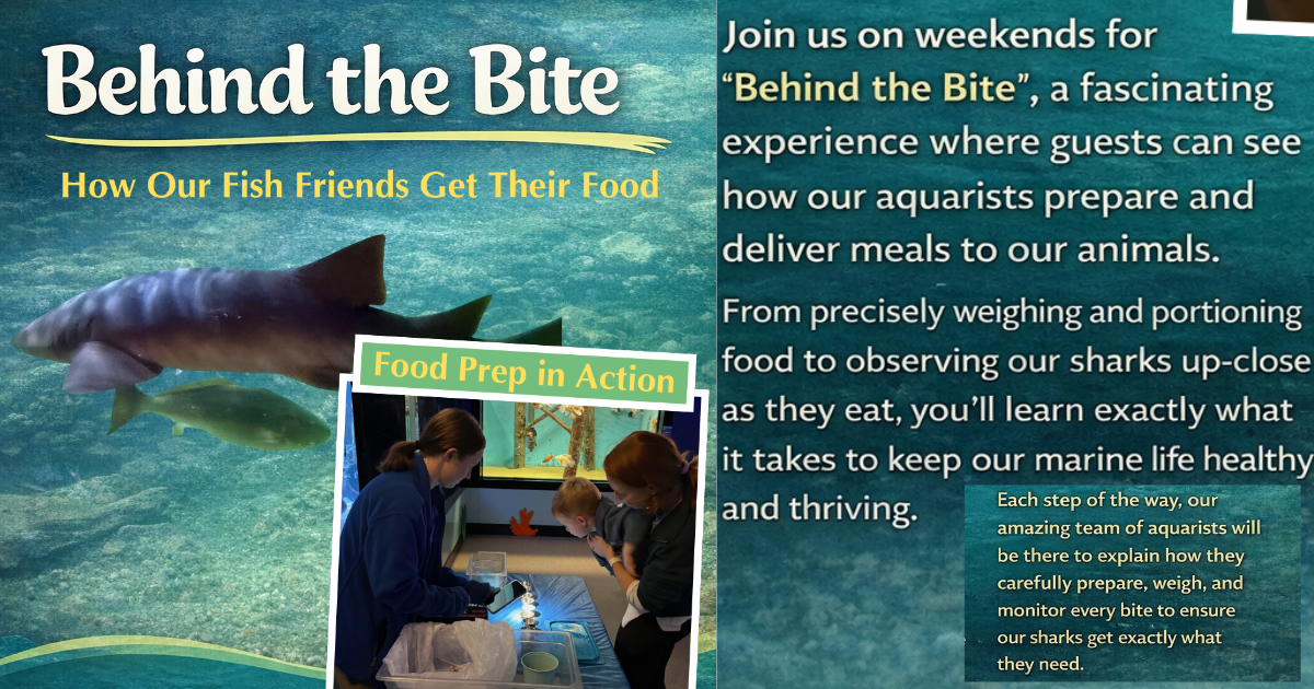 More Info for Behind the Bite