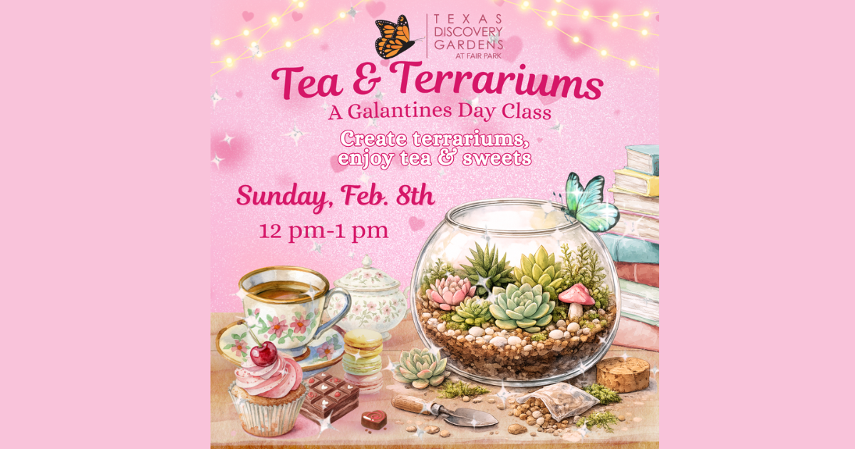 More Info for Tea & Terrariums A Galentine’s Day Class