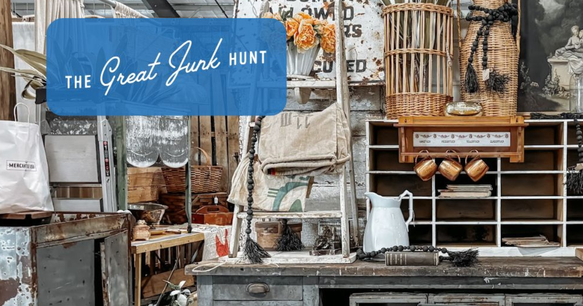 More Info for The Great Junk Hunt 