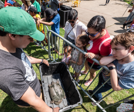 More Info for Texas Turtle Day