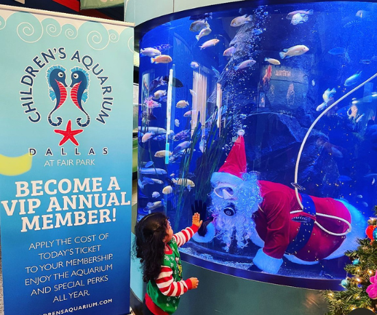 More Info for Scuba Santa