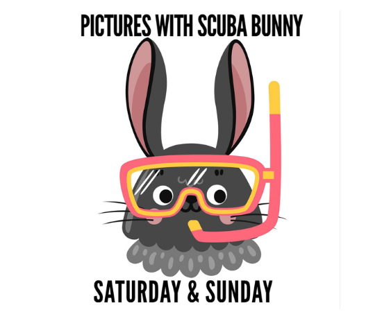 More Info for Scuba Bunny
