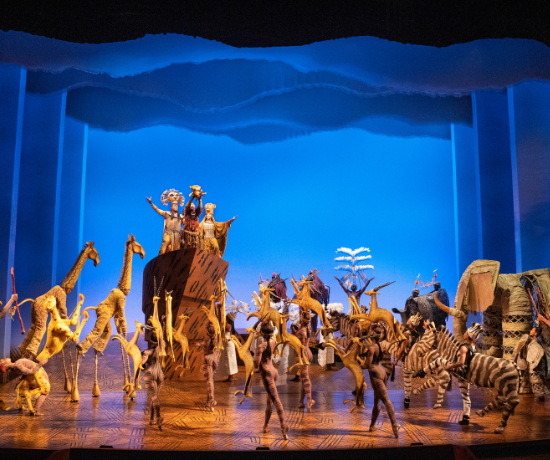 More Info for The Lion King