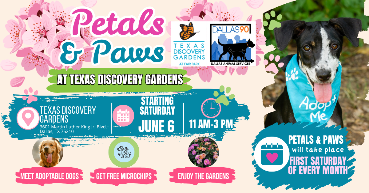 More Info for Petals and Paws