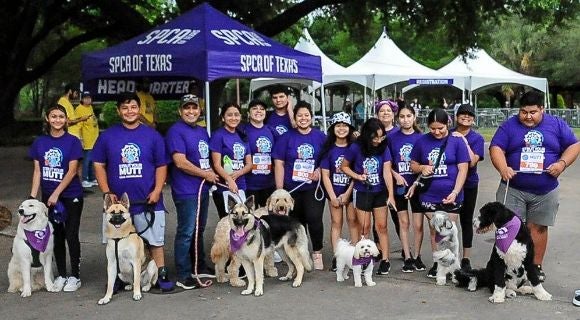 More Info for SPCA of Texas' Strut Your Mutt