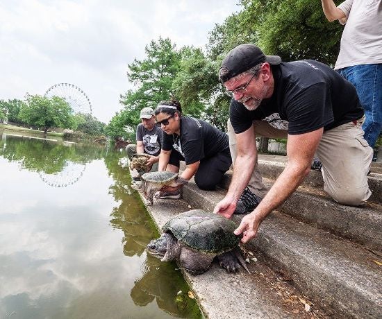 More Info for Texas Turtle Day