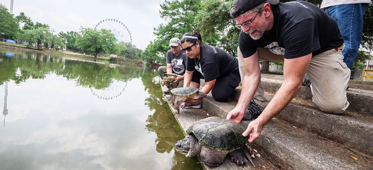 Texas Turtle Day